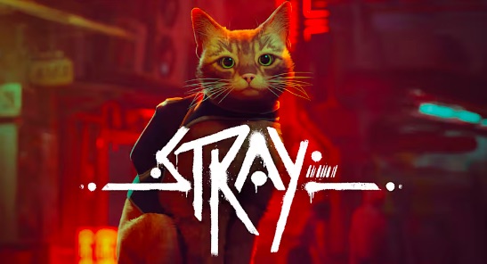 Nintendo Switch 2 Edition of Stray scheduled for release in May